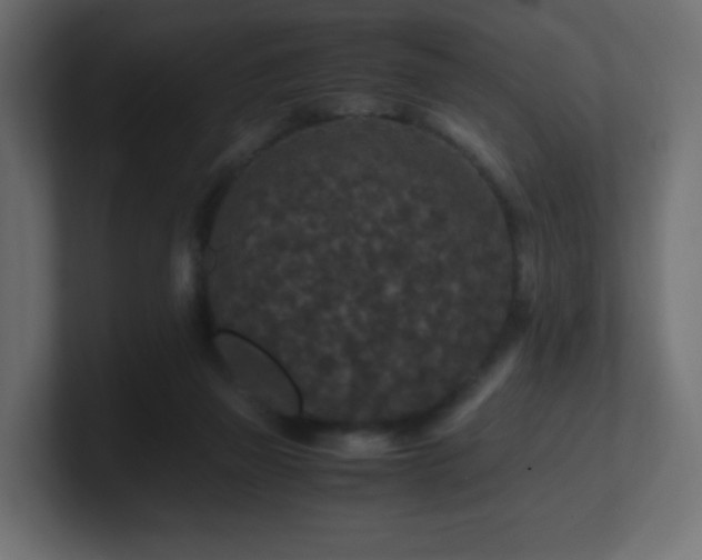 X0000101100165200806261520