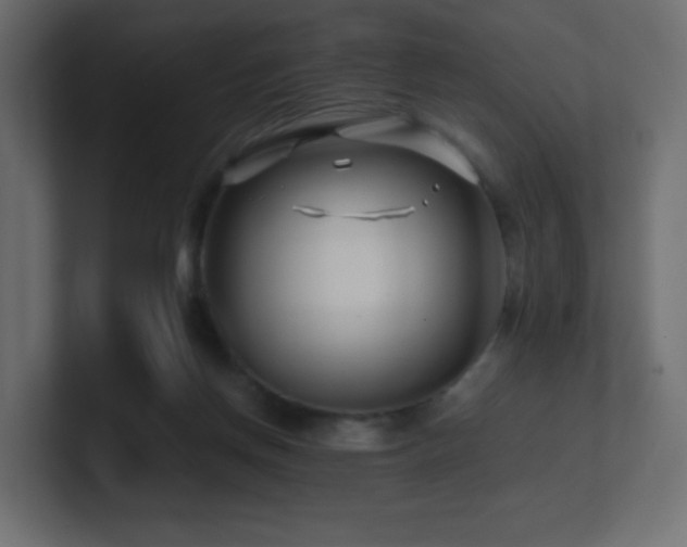 X0000101100166200806261520