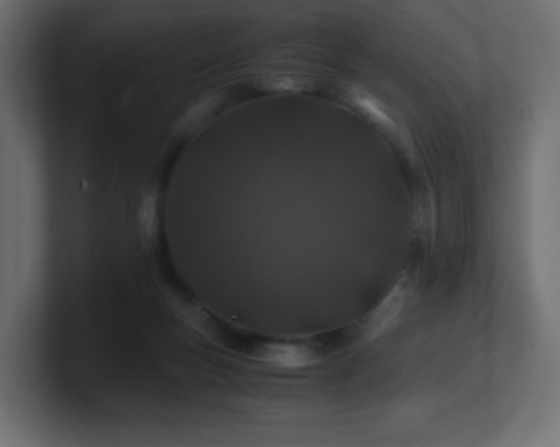 X0000101100167200806261520
