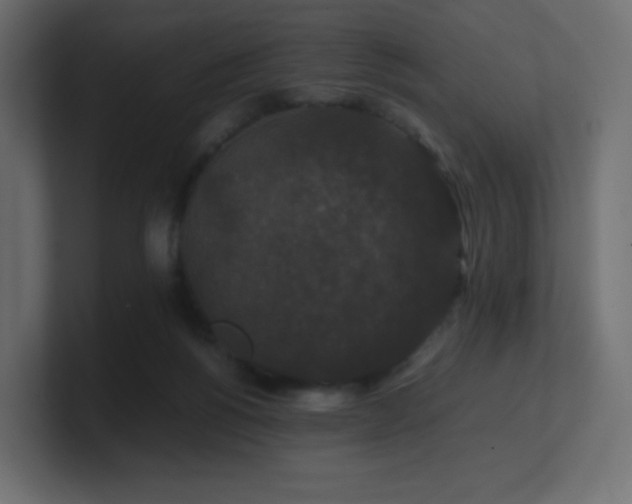 X0000101100168200806261520