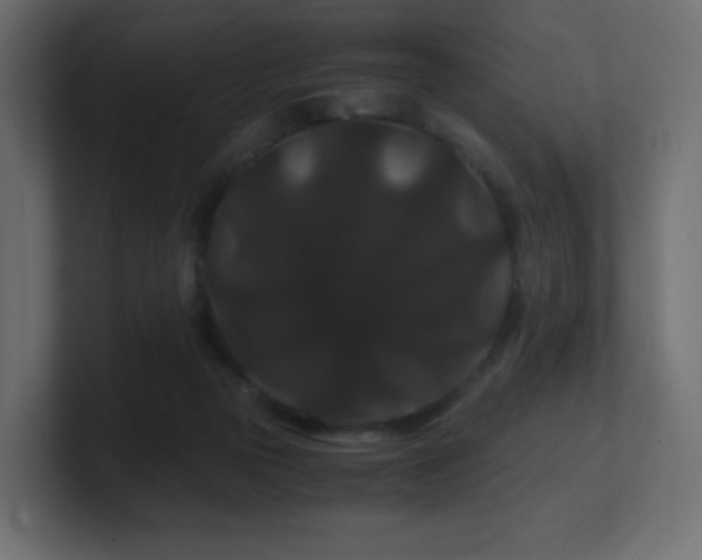 X0000101100169200806261520