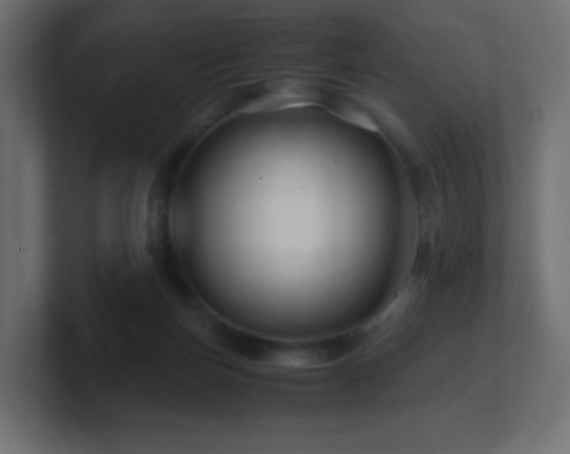 X0000101100171200806261520