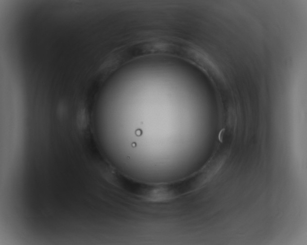 X0000101100173200806261520