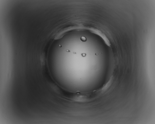 X0000101100174200806261520