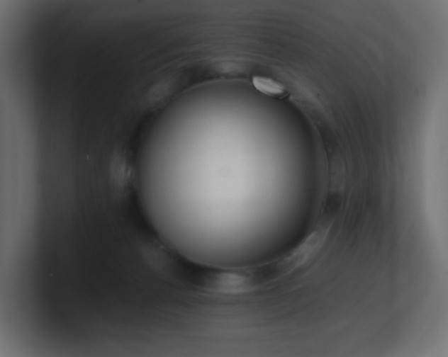 X0000101100176200806261520