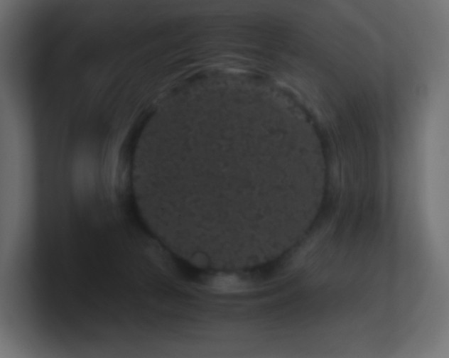 X0000101100177200806261520