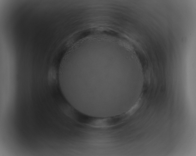 X0000101100178200806261520