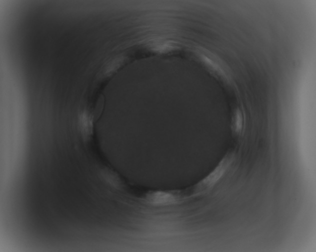 X0000101100180200806261520