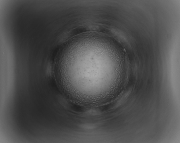 X0000101100185200806261520