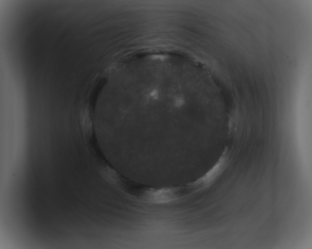 X0000101100186200806261520