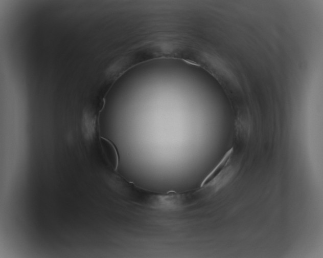 X0000101100188200806261520