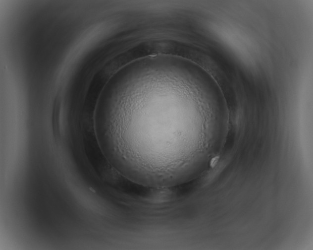 X0000101100189200806261520