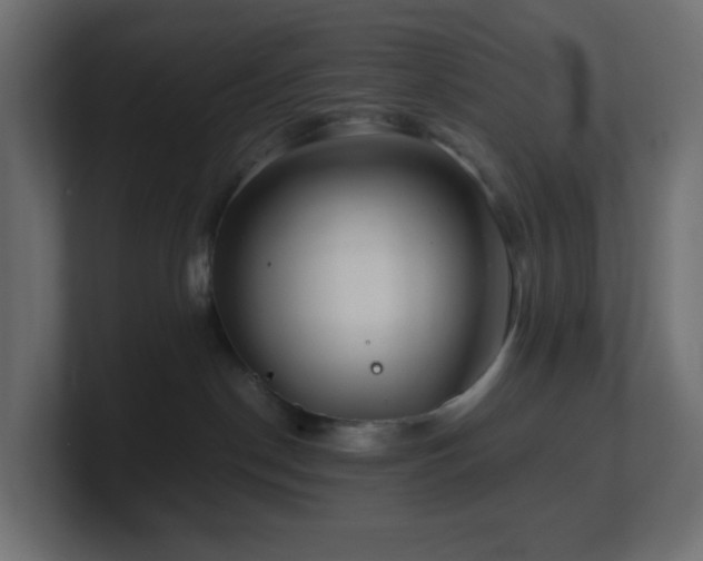 X0000101100190200806261520