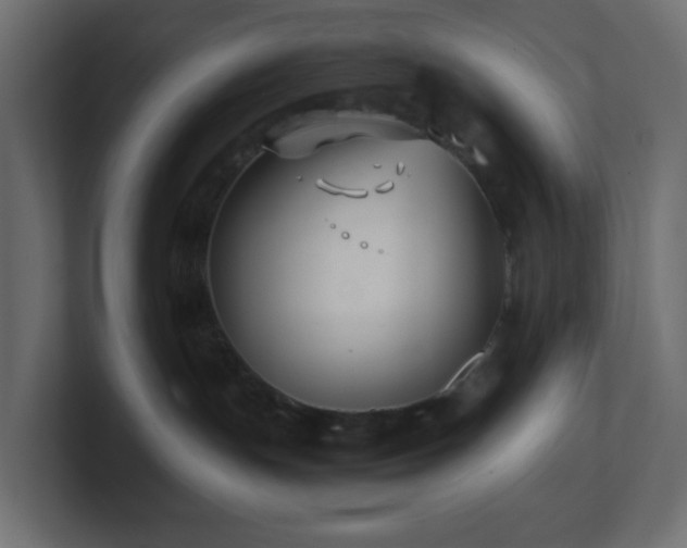 X0000101100191200806261520