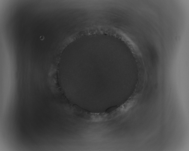 X0000101100192200806261520