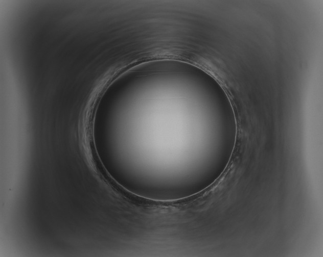 X0000101100193200806261520