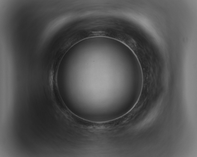 X0000101100194200806261520