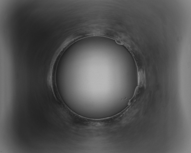 X0000101100195200806261519
