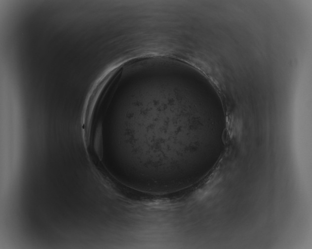 X0000101100196200806261519