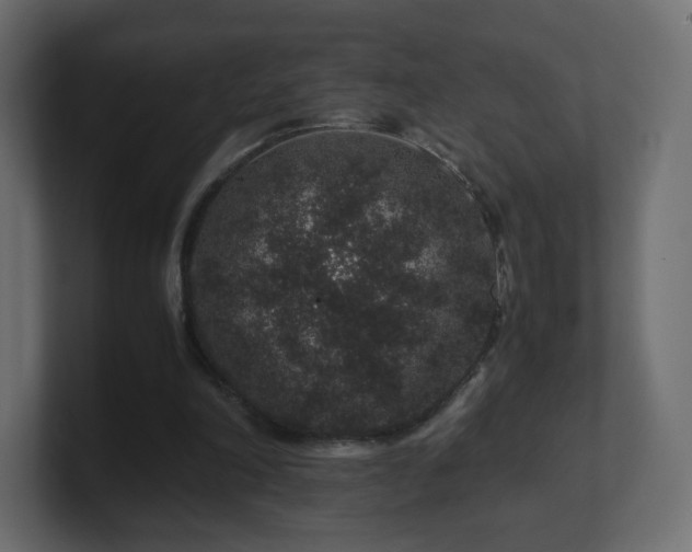 X0000101100198200806261519