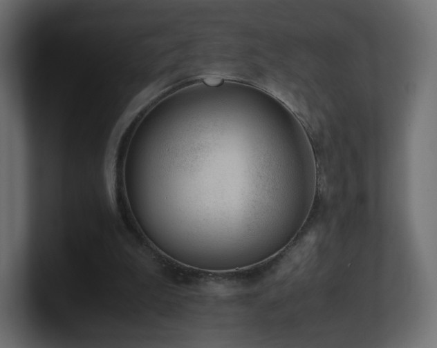 X0000101100199200806261519
