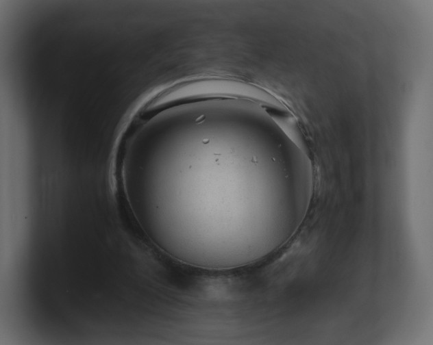 X0000101100200200806261519