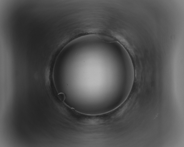 X0000101100201200806261519