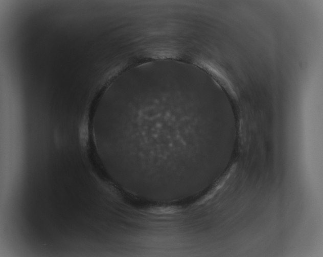X0000101100202200806261519