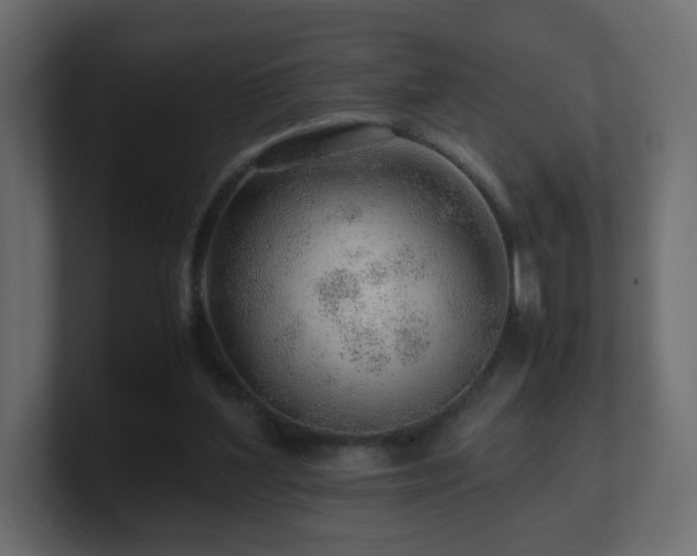 X0000101100204200806261519