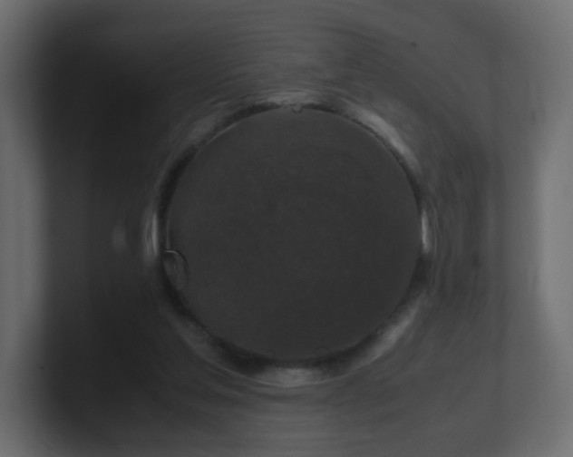 X0000101100205200806261519