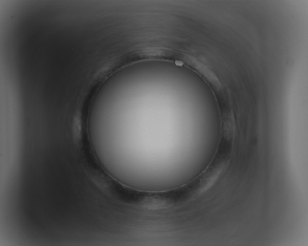 X0000101100207200806261519