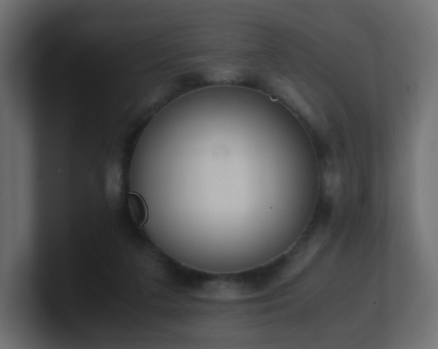 X0000101100211200806261519
