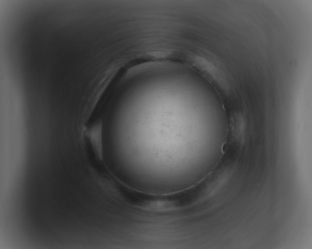 X0000101100212200806261519