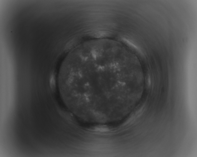 X0000101100214200806261519