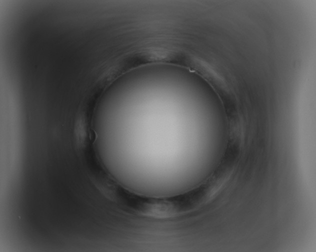 X0000101100215200806261519