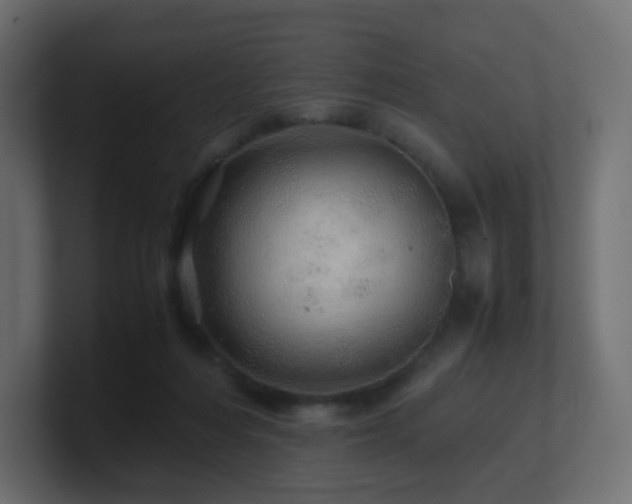 X0000101100216200806261519