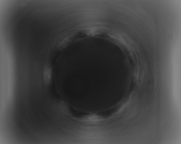 X0000101100219200806261519