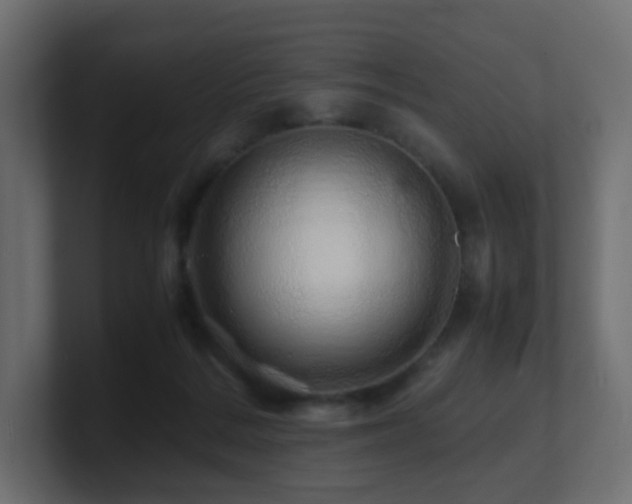 X0000101100220200806261519