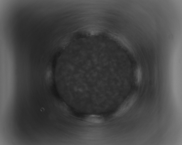 X0000101100222200806261519