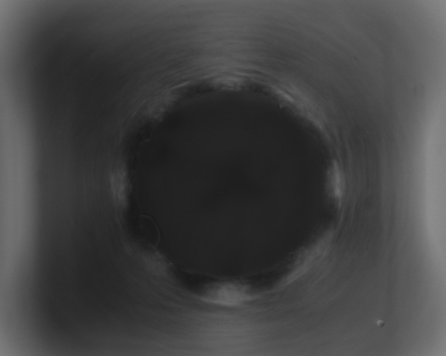 X0000101100223200806261519