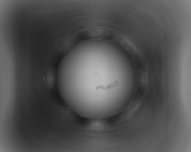 X0000101100226200806261519