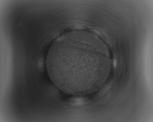 X0000101100228200806261519