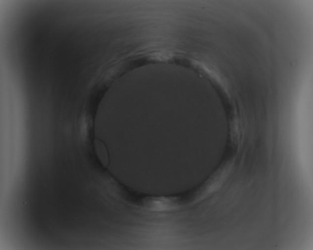 X0000101100229200806261519