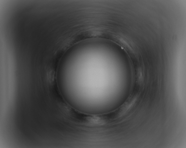 X0000101100230200806261519