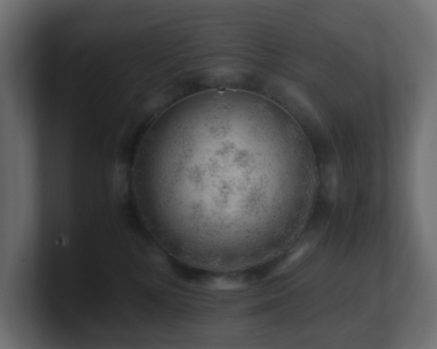 X0000101100232200806261519