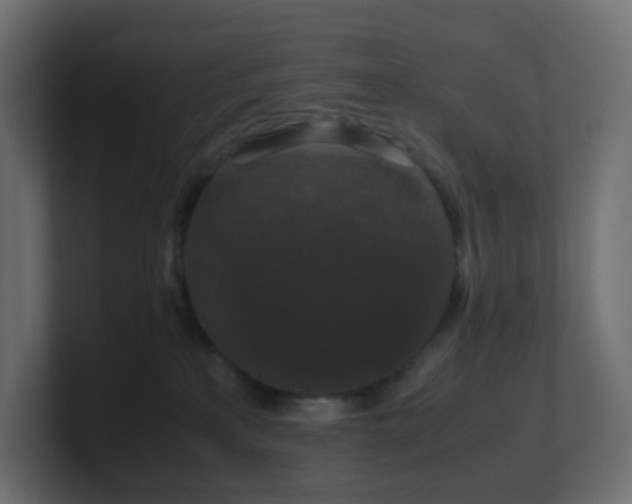 X0000101100233200806261519