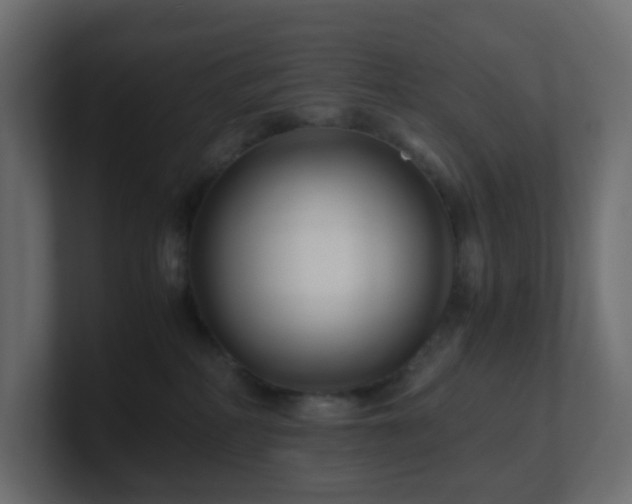 X0000101100234200806261519