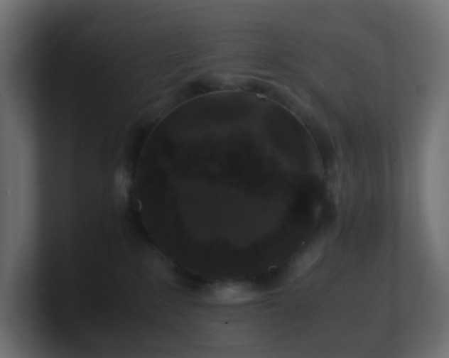 X0000101100235200806261519