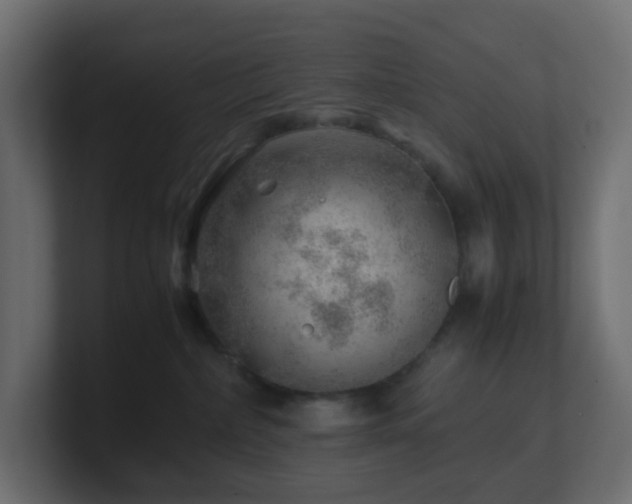 X0000101100236200806261519