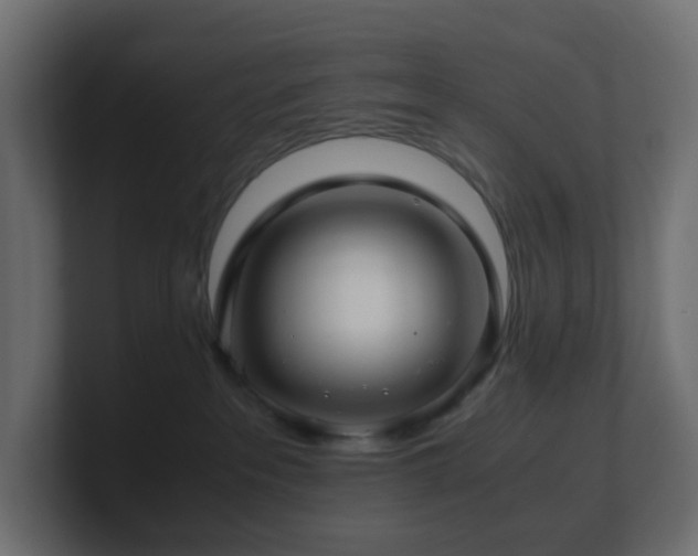 X0000101100237200806261519